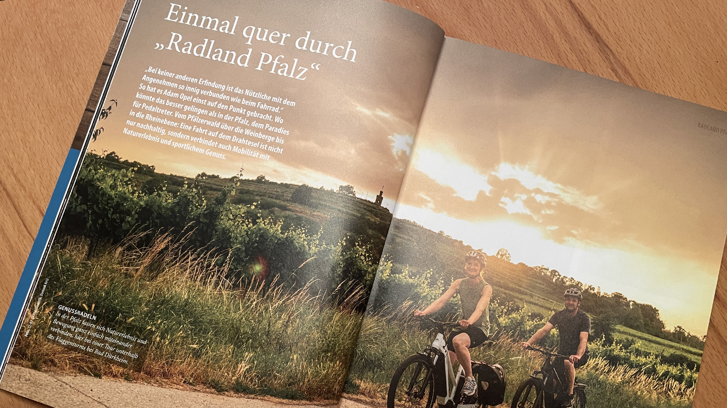 Radland Pfalz Artikel