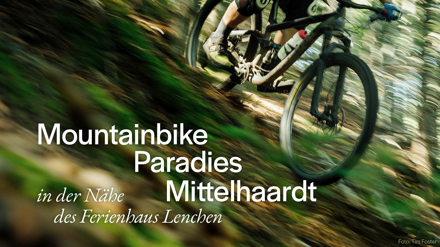 Foto Mountainbike Pfälzerwald